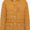 Parkas Parka D’hiver Homme Curry