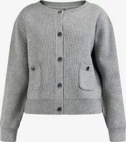 Gilets Cardigan Palpito Femme Gris Chiné