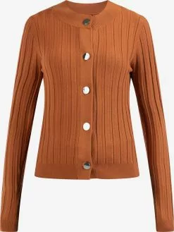 Gilets Cardigan Femme Rouille