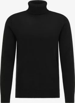 Pulls à Col Roulé Pull-over Homme Noir
