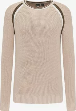 Pulls à Col Rond Pull-over Homme Beige
