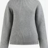 Pulls Maille Fine Pull-over Palpito Femme Gris Chiné
