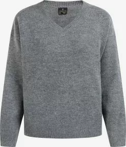 Pulls Maille Fine Pull-over Zitha Femme Gris Chiné